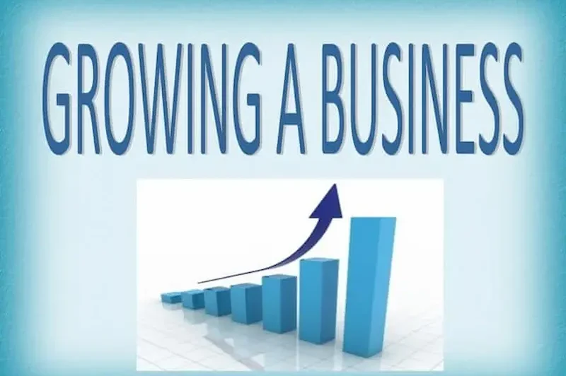 What Are Quick Business Growth Strategies?