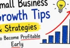 Fast Growth Business Ideas