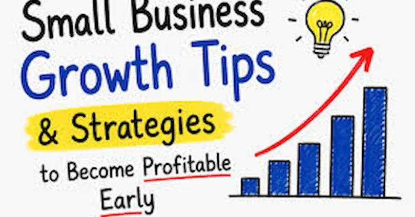 Fast Growth Business Ideas