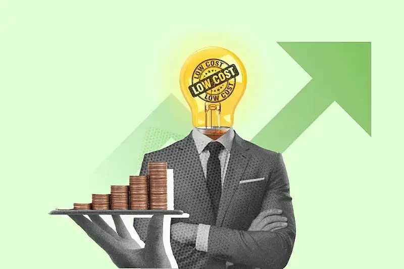What Are Low Investment Profit Ideas?